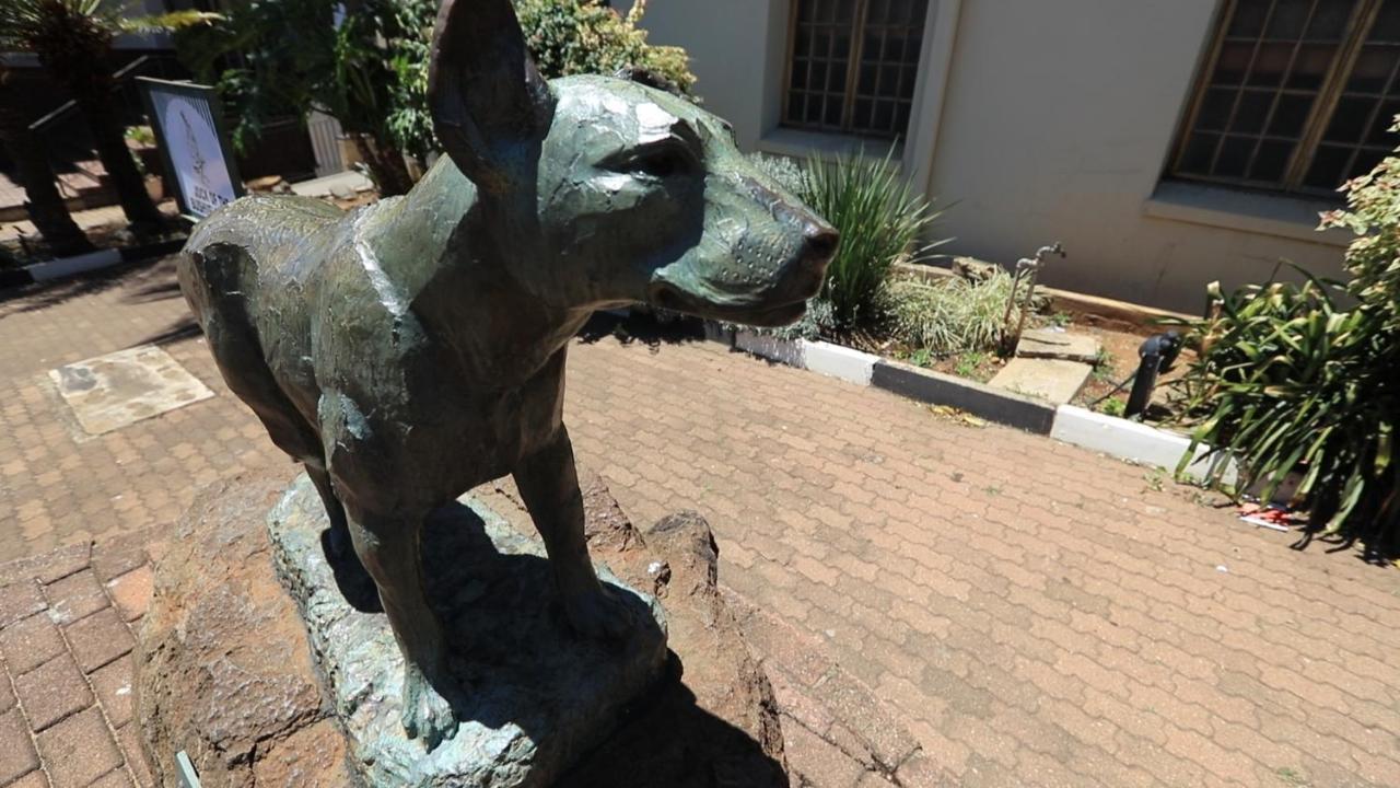 African Rest Lodge Barberton Buitenkant foto